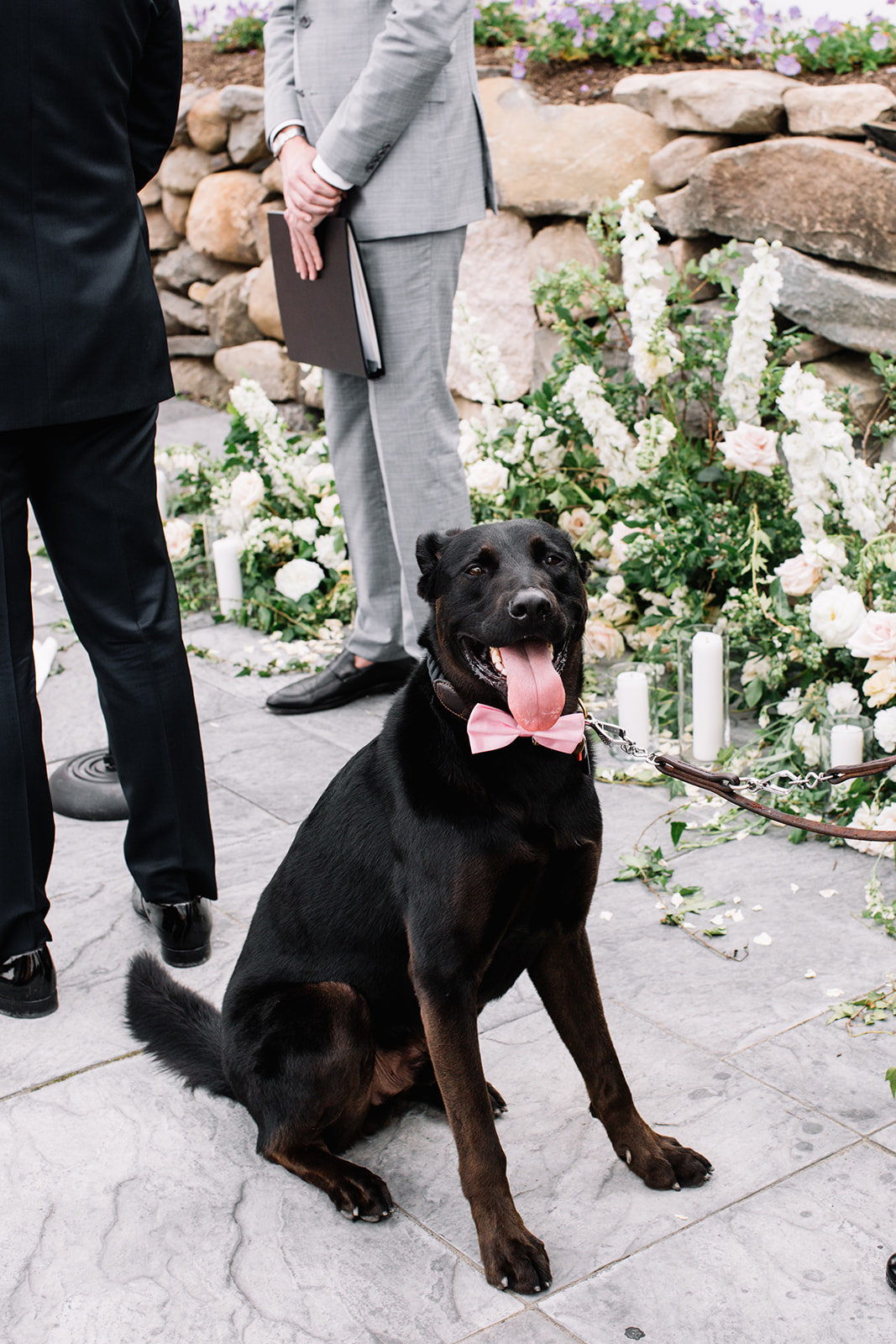 How to bring your dog to your wedding, The Union Studio, Photo by Kate Edwards Weddings